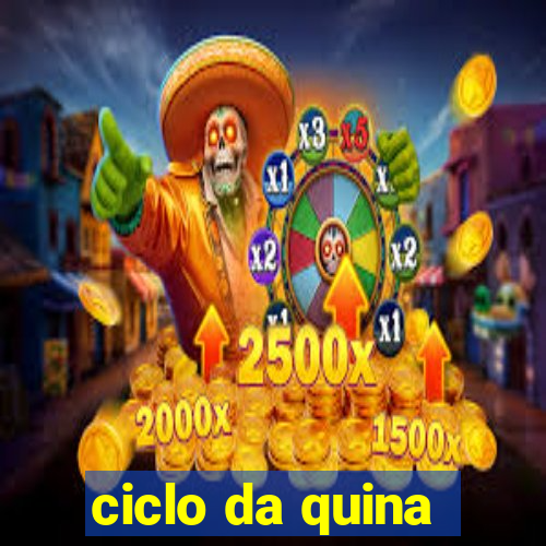 ciclo da quina